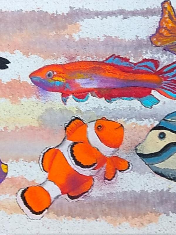 Aquarium