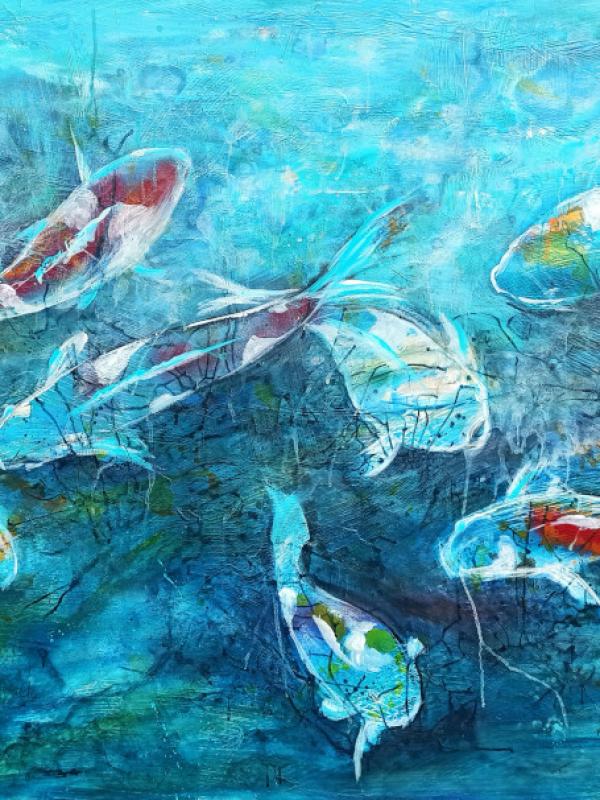 Koi