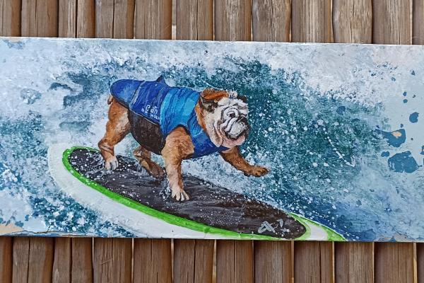 Surfing dog, Treibholz v. Samos